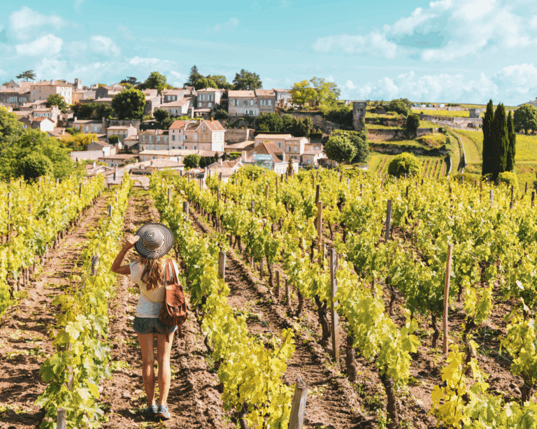 saint-emilion-vignes