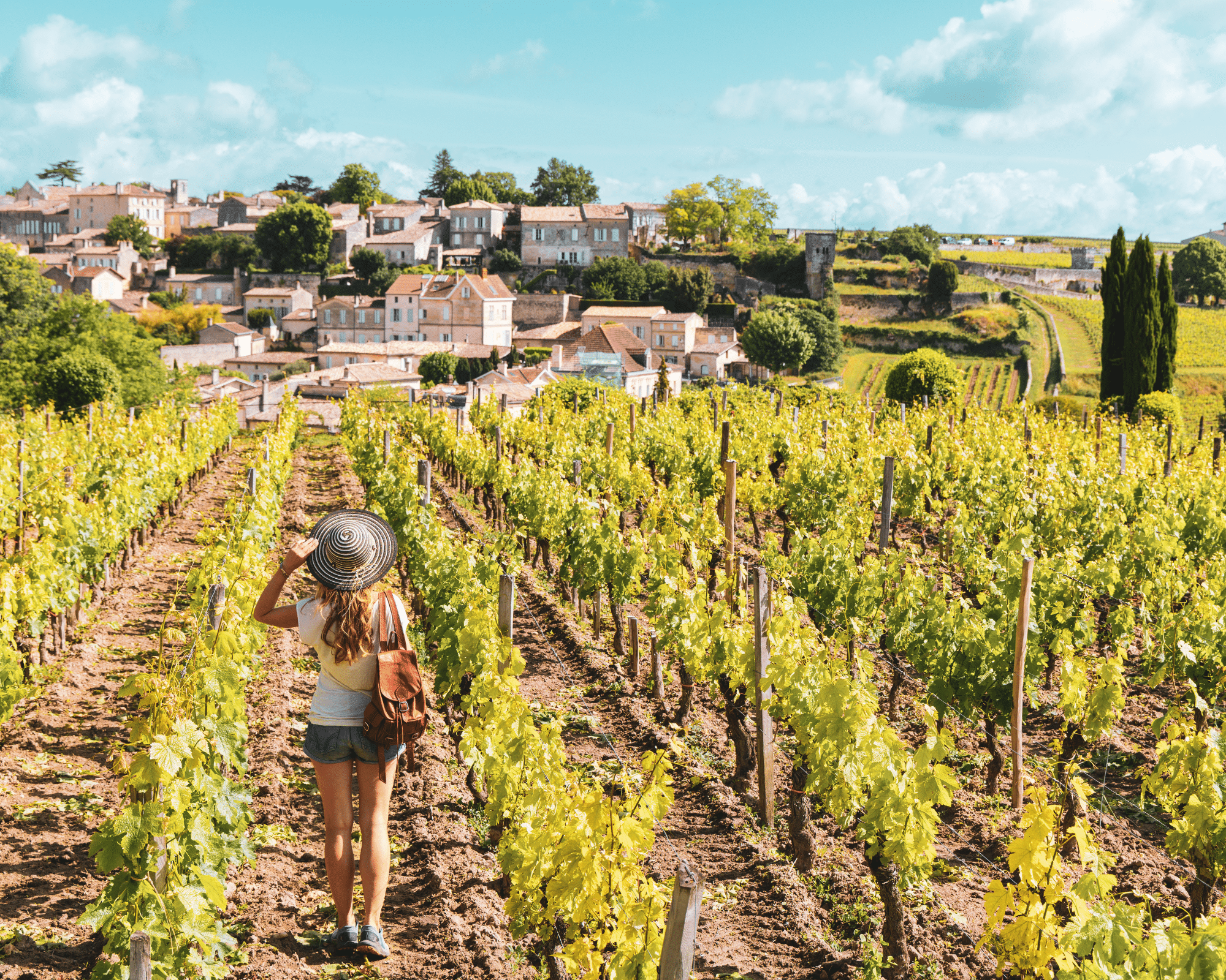 saint-emilion-vignes